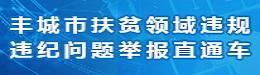 豐城市扶貧領域違規違紀問題舉報直通車